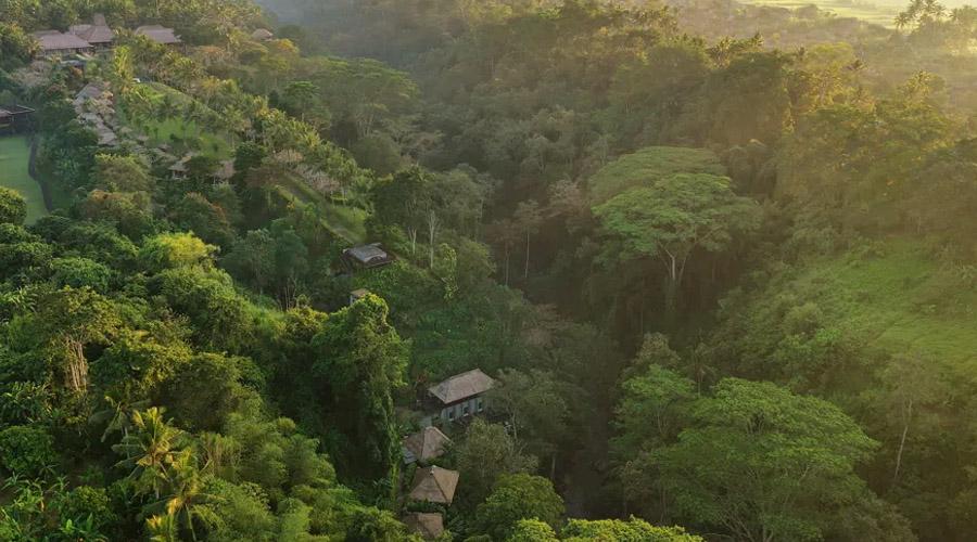 Maya Ubud Resort & Spa