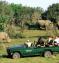 Best of Cape Town, Wineland & Malaria-Free Game Reserve Safari