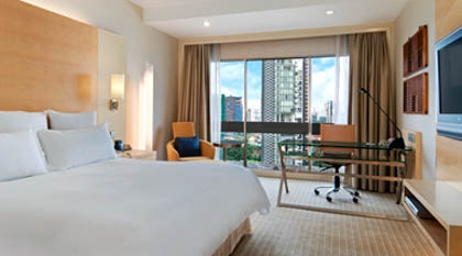 King Hilton Premium Room